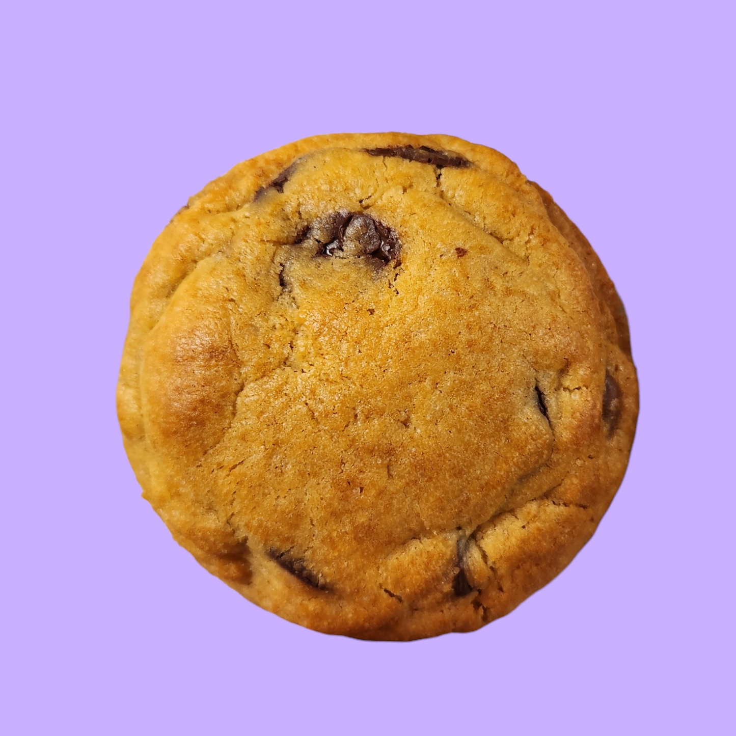 The double choc chip